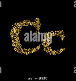 vintage ornament Stock Vector