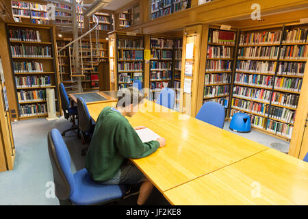 Cambridge University student studying in the library, Queens College, Cambridge University, Cambridge England UK