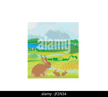 bunnies in green meadow Stock Vector