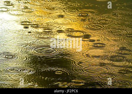 Rain drops falling in a pool of sunlit water creating circle patterns in the still water Stock Photo