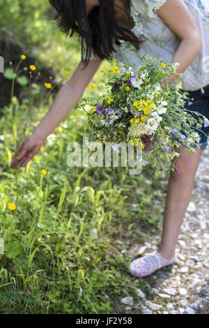 Woman collects wild flowers Stock Photo