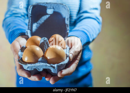 Packing eggs Stock Photo
