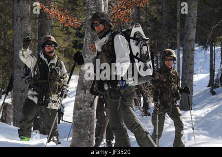 Young French officers take part to winter training in the Alps Stock Photo