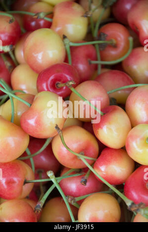 Rainer cherries on sale at a farmers market , Stock Photo