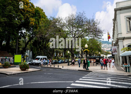 Tree Lined Main Shopping Streets in Funchal Madeira Portugal make shopping a pleasure