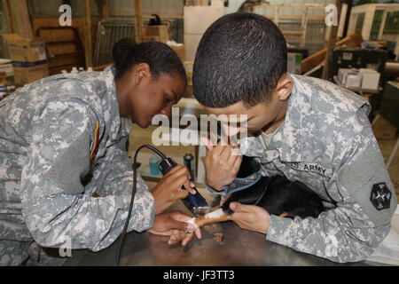 Spc. Mychaela Smith from the 169th Veterinary Detachment in Fort Gordon, Ga. and Spc. Michael Maldonado from the 399th Combat Support Hospital in Devens Reserve Forces Training Area, Mass. prepare a puppy for surgery during Appalachia IRT 2017 which took place from May 14-27 at the Wise County Fairgrounds in Wise, Va. Stock Photo