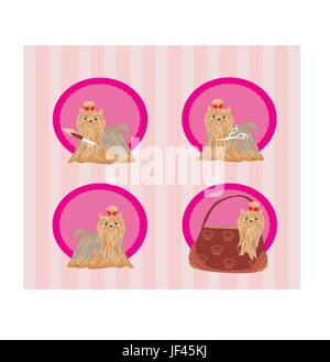 black swarthy Stock Vector