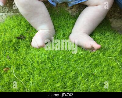 Baby Feet in Moss Stock Photo