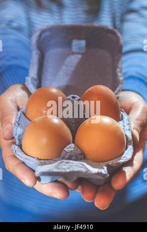 Packing eggs Stock Photo