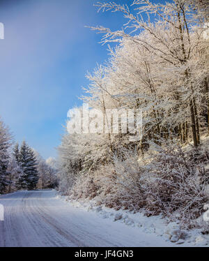 The ski track passes on way to snowy wood Stock Photo