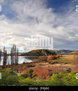 Vertical panoramic view of Lake Wanaka in Autumn. In the foreground are green native ferns and red wild Rose Hip bushes. In the background is a dramat Stock Photo