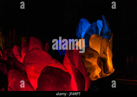 Jerusalem, Israel. 28th June, 2017. Jerusalem, Israel. Glowing artificial flowers, part of the 2017 'Light in Jerusalem' festival. Credit: Yagil Henkin/Alamy Live News Stock Photo