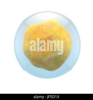 3d single molecule isolated on white background. Abstract 3d rendering illustration Stock Photo