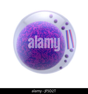 3d single molecule isolated on white background. Abstract 3d rendering illustration Stock Photo