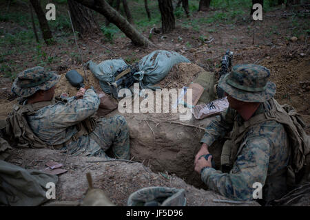 U.S. Marines and Sailors assigned to India Company, 3rd Battalion, 8th Marine Regiment, forward deployed to the 3rd Marine Division, as part of the forward Unit Deployed Program, dig two man fighting holes in a defensive position at Camp Mujuk, South Korea, May 31, 2017. Fighting holes are used to give Marines protection and the ability to provide fire while in a defensive position. (U.S. Marine Corps photo by Cpl. David A. Diggs) Stock Photo