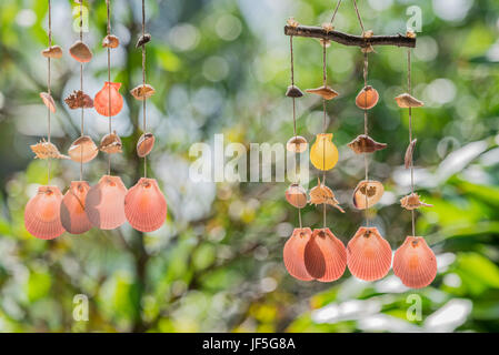 Swinging of hanging mobile seashells on colorful blurred background Stock Photo