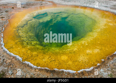 Morning Glory, Thermal pool, Yellowstone National Park, Wyoming USA by Bruce Montagne Stock Photo