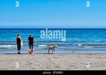 Two women and two dogs on beach at Laxey Stock Photo