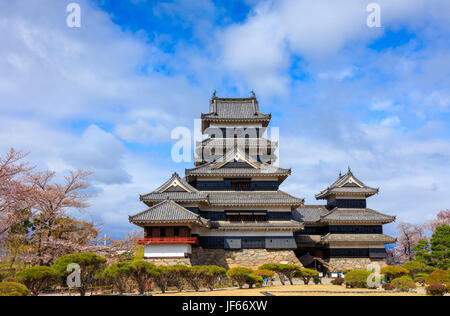 Matsumoto castle in cherry blossom season, Nagano, Japan Stock Photo