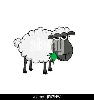 isolated, animal, sheep, illustration, wildlife, farm, cartoon, meadow, grass, Stock Vector