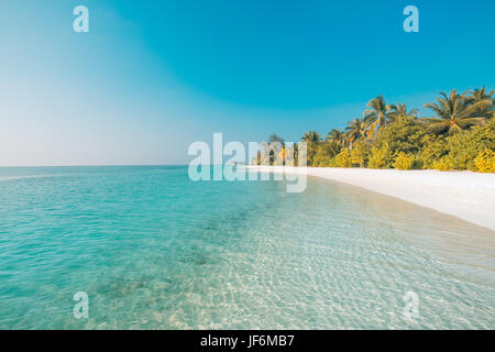 Perfect beach view. Summer holiday and vacation design. Inspirational tropical beach, palm trees and white sand. Tranquil scenery, relaxing beach Stock Photo