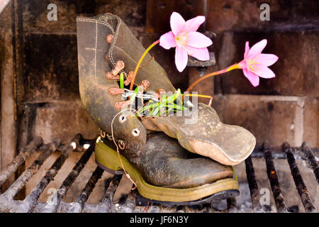 Strange Unusual Plant Pot Stock Photo