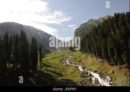 Landscape, pahalgam to chandanwari, amarnath yatra, jammu Kashmir, india, asia Stock Photo