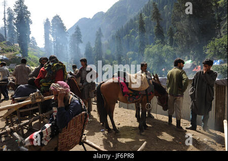 People with horse, amarnath yatra, jammu Kashmir, india, asia Stock Photo