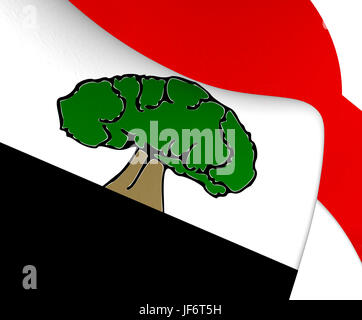 Flag of Oromia Region Stock Photo - Alamy