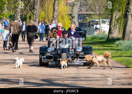 People having a ride in the park on a Honda Gold Wing trike in Shrewsbury, Shropshire, England, UK Stock Photo