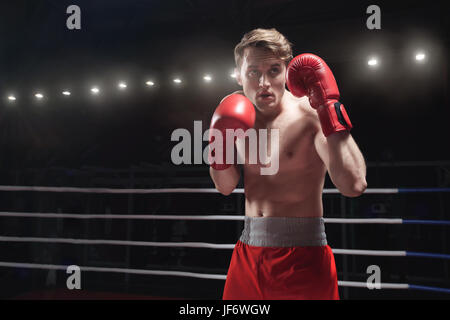 Boxer in boxing ring Stock Photo