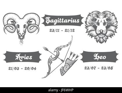 Set of Fire Zodiac signs. Aries Sagittarius and Leo drawn in engraving style. Vector illustration.