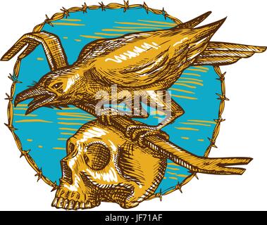 Crow Perching Crowbar Skull Barbed Wire Drawing Stock Vector