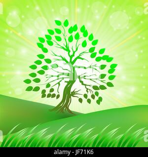 Green Tree Growing on a Green Hill on a Background on the Sun Rays Stock Vector