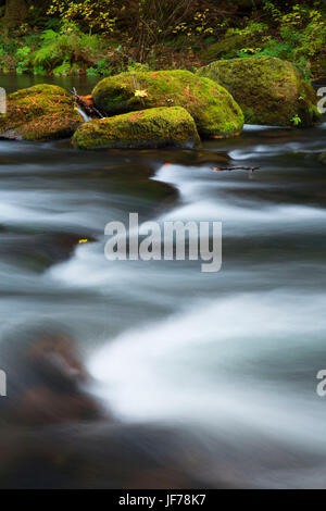 Oak Grove Fork Clackamas River at Ripplebrook Campground, West Cascades Scenic Byway, Mt Hood National Forest, Oregon Stock Photo