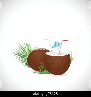 orange, food, aliment, leaf, object, macro, close-up, macro admission, close up Stock Vector