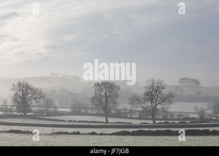 Chelmorton landscape in the mist, Derbyshire, UK Stock Photo