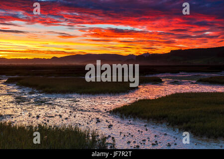 Daybrake in the marshes. Stock Photo