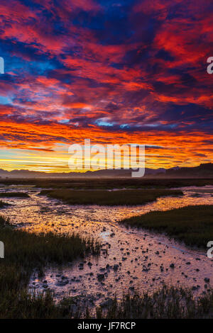 Daybrake in the marshes. Stock Photo