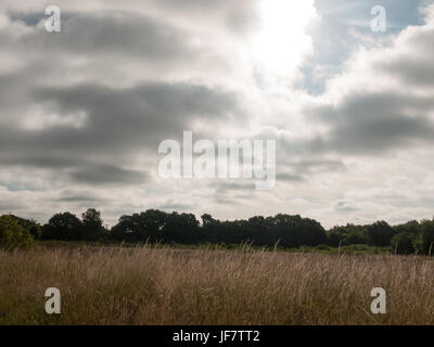 moody azure grey and dark depressing sky over wheat field Stock Photo