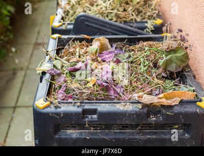 Oranic compost and waste in black bin. Stock Photo