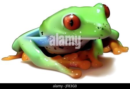 Red-eyed Tree Frog Stock Vector