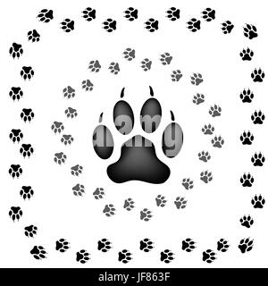 Animal Paw Prints Isolated on White Background Stock Vector