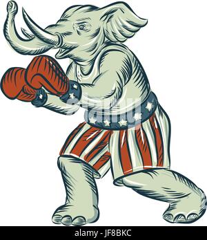 Republican Elephant Boxer Mascot Isolated Etching Stock Vector Image ...