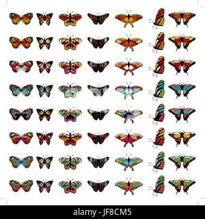 butterfly set Stock Vector