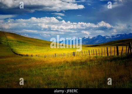 Pasture in Zumwalt Prairie with fence and Wallowa Mountains, Oregon