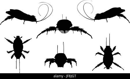 cockroach silhouette Stock Vector