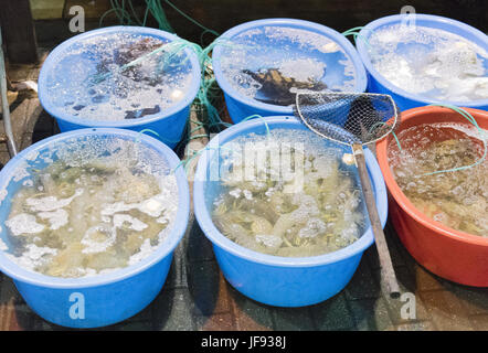 Fish market in downtown Hong Kong Stock Photo