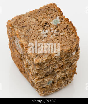 Mold on a whole grain bread Stock Photo