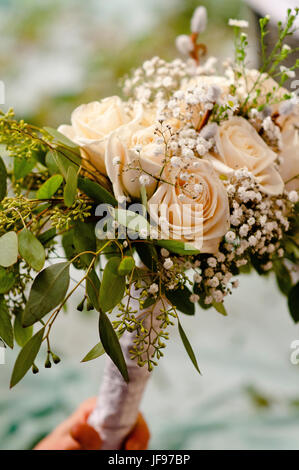 A bouquet of delicate pale peach colored roses Stock Photo